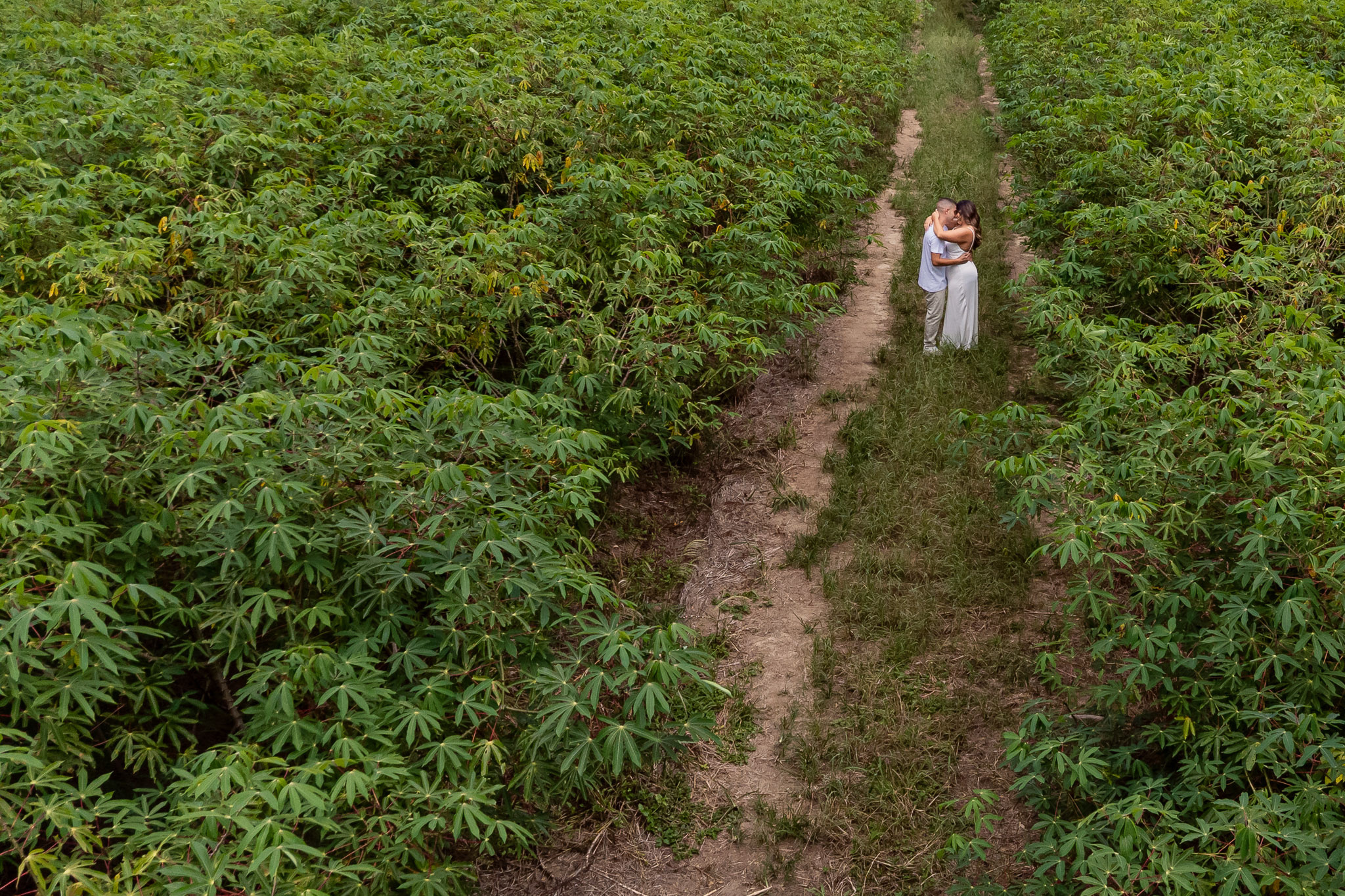 Casal fotografado por drone em meio à natureza
